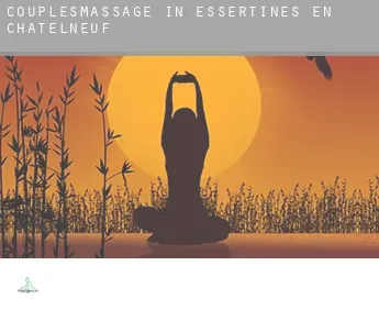 Couples massage in  Essertines-en-Châtelneuf